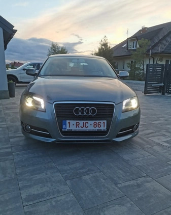 Audi A3 cena 30500 przebieg: 194000, rok produkcji 2010 z Dębica małe 596